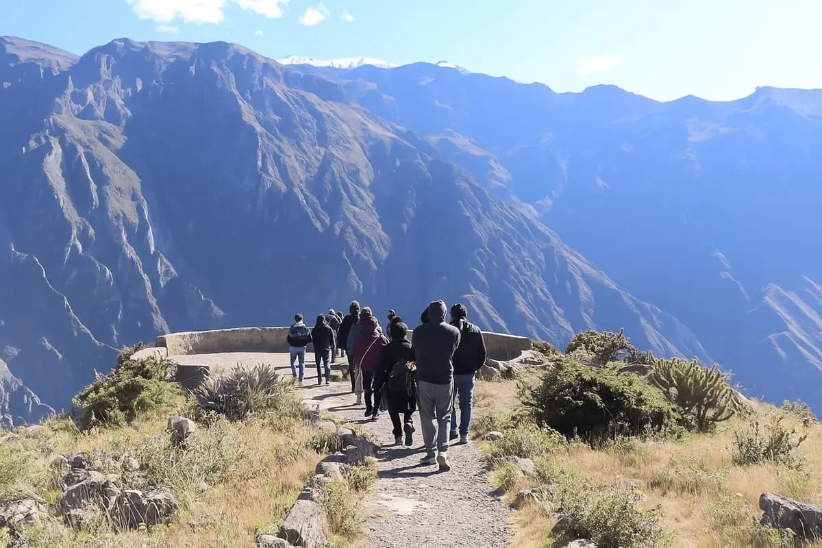 Colca Canyon: The Condor Viewpoint in Arequipa, Pe