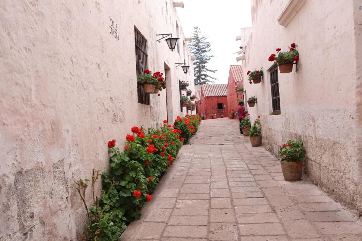 Arequipa City Tour + Santa Catalina Monastery
