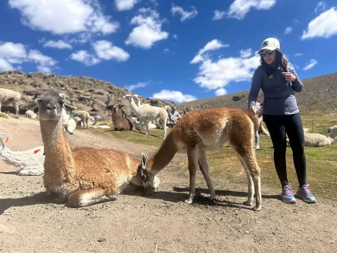 Colca Canyon 2 Day Tour from Puno to Arequipa