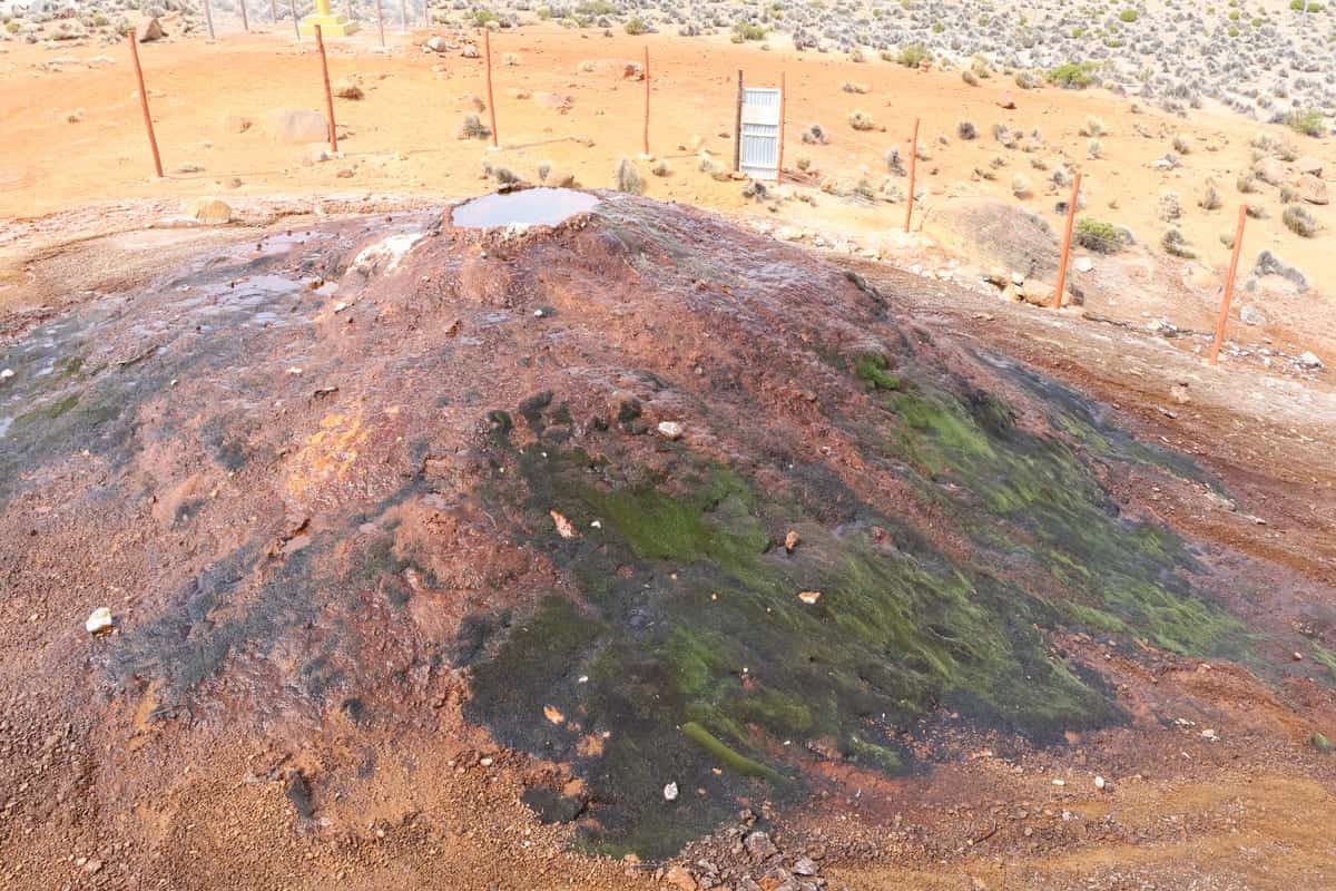 Tour a Reserva Nacional de Salinas