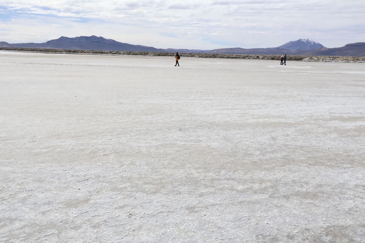 Tour a Reserva Nacional de Salinas
