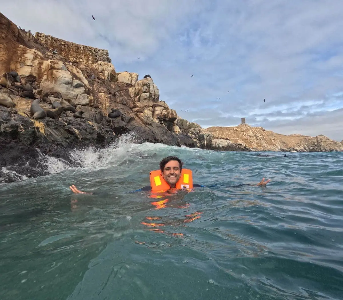 Tourist swimming with sea lions at Palomino Islands near Lima Peru