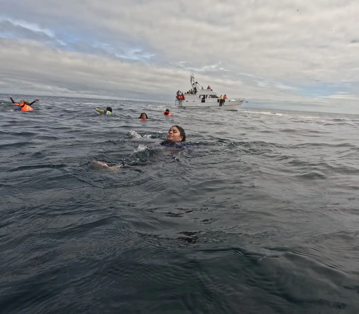 Travelers swimming during a Palomino Islands tour in Lima, Peru